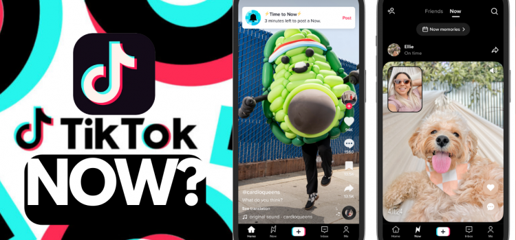 TikTok Now – TikTok’s BeReal clone gaining traction outside the US?￼